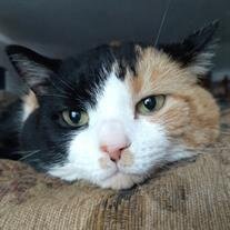 Pretty Girl Martz