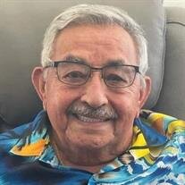 Mr. Jose Luis Silva