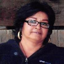 Diane Basulto Solis