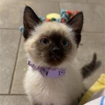 Luna Grimes