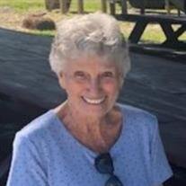 Virginia N. Vore