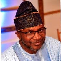 Mr. Olumide Lee Mesioye