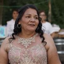 Orfa Salas