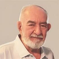 Carmen Tripo