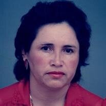 Teresa Argueta