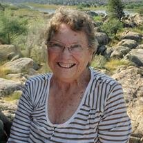 Mary A. Franks