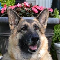 Lady Sofia "Sofie" Dean