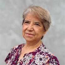 Luz Aurora Castillo