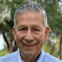 Dale Lawrence Heins