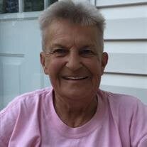 Joyce Lynn Hendriks