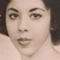 Lourdes M Meneses