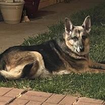 Chloe