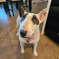 Stella Noel Holloway