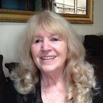 Lynda Stein