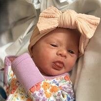 Ellie Kate Steward