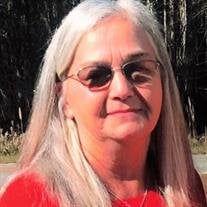 Pamela Ann Doyle Chaney