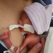 Zayne William Collins