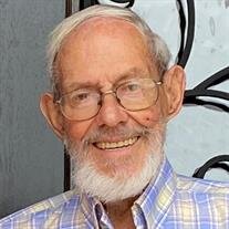 Dale Poppy