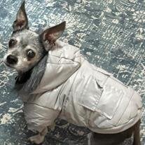 Smokey 'Lil Whip' Prickett