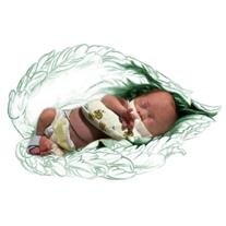 Colsen Lee Goins