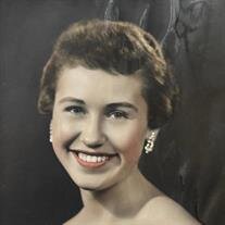 Vivian DeNae Schaefermeyer