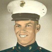 Virgil Ray Alvey