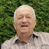 Roger James Nieuwendorp