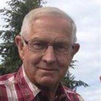 Donald J. McKay