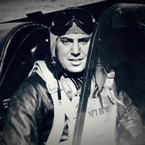 LCDR AM Mike Granat USN Retired