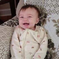Harlow Quinn Smith
