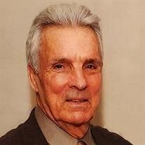 Bobby Carl Rainer Sr.