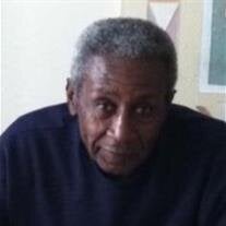 Mr. Sylvester Ellis Jr.