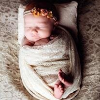 Abigail Rose Marie Findley