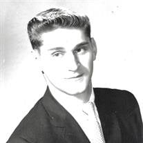 Paul W. Stang