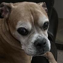 Buddy Tubbs