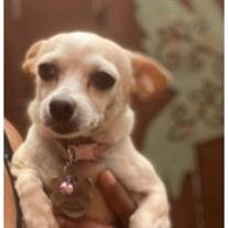 Pebbles Dupree