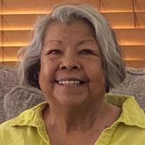 Minerva L. Solis