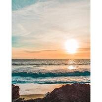 David Patrick Petersen