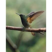 Joseph Francis Colonnello