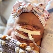 Adaline Grace Vanden Bosch