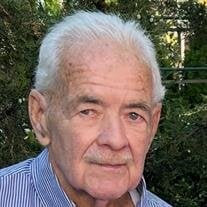 Mr William Hagerup Collisi