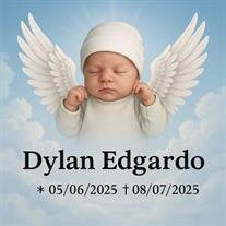 Dylan Edgardo Melendez Chicas