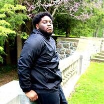 MR. JULIAN MICHAEL WILSON