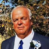 Terry A. Stark