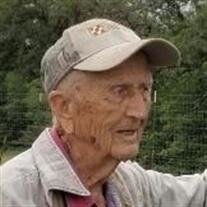 Walter M Nittsche