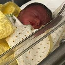 Baby Serenity Cheyenne Jenkins