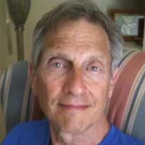 Richard P Micheletti