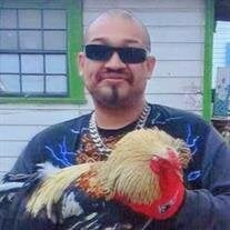 Daniel David Gomez