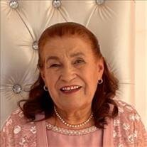 Alma Munoz Alonzo