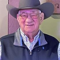 David A. Deneau Sr.
